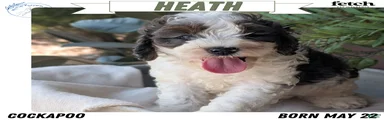 Heath
