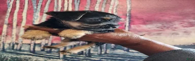 Mixed Breed 4