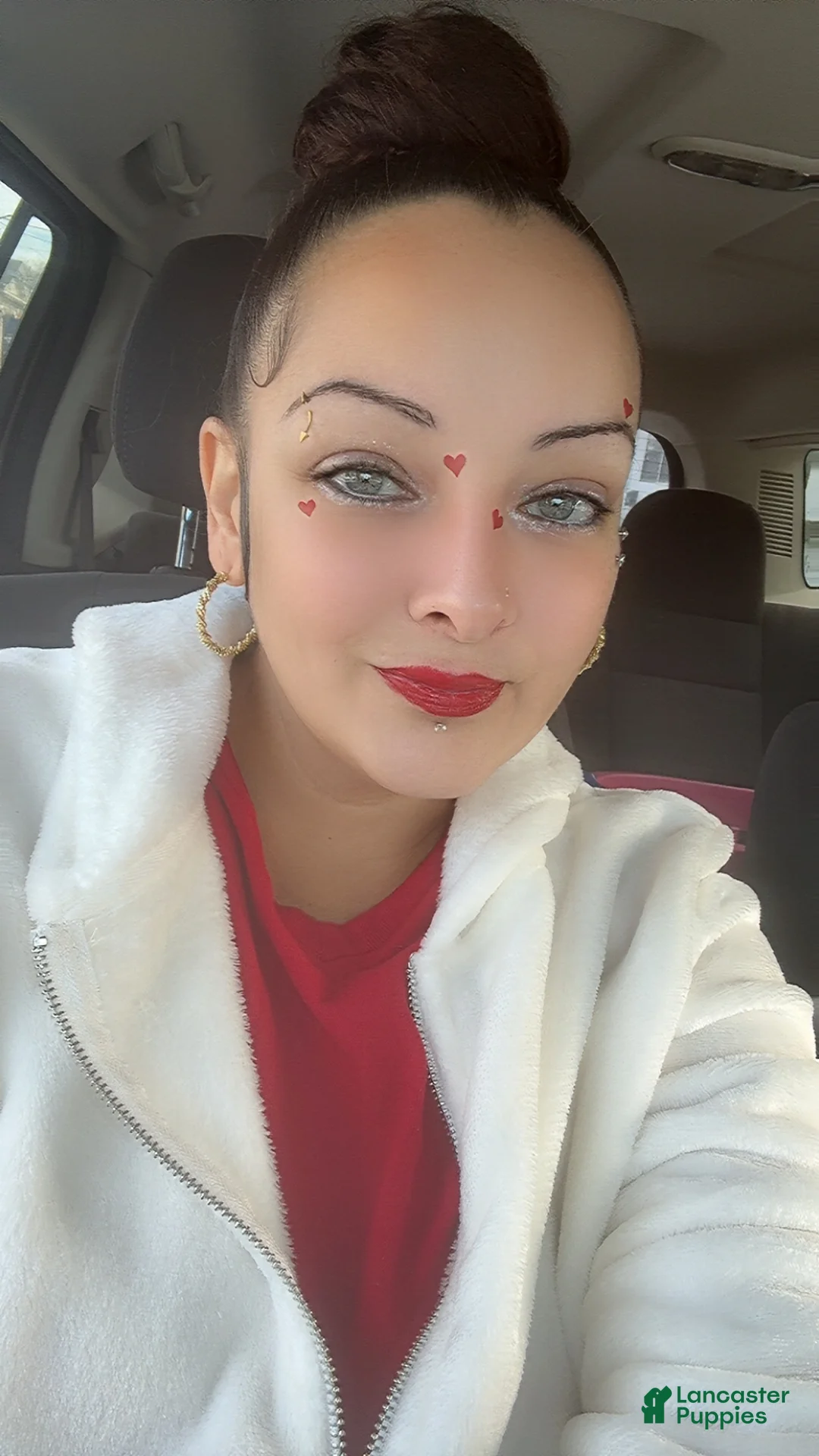 Gallery Image {{count}}