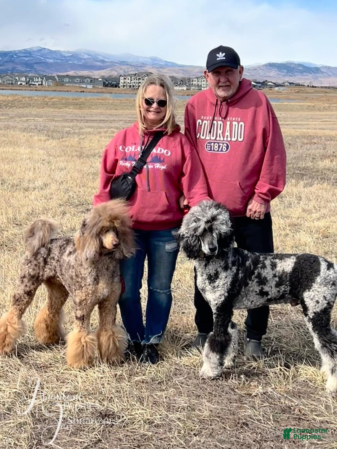 Gallery Image {{count}}