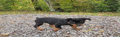 Skye