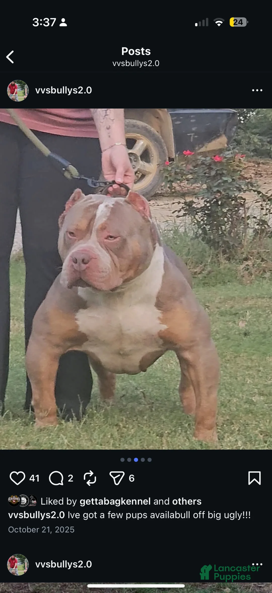 Gallery Image {{count}}