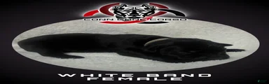 Cane Corso Puppy 11