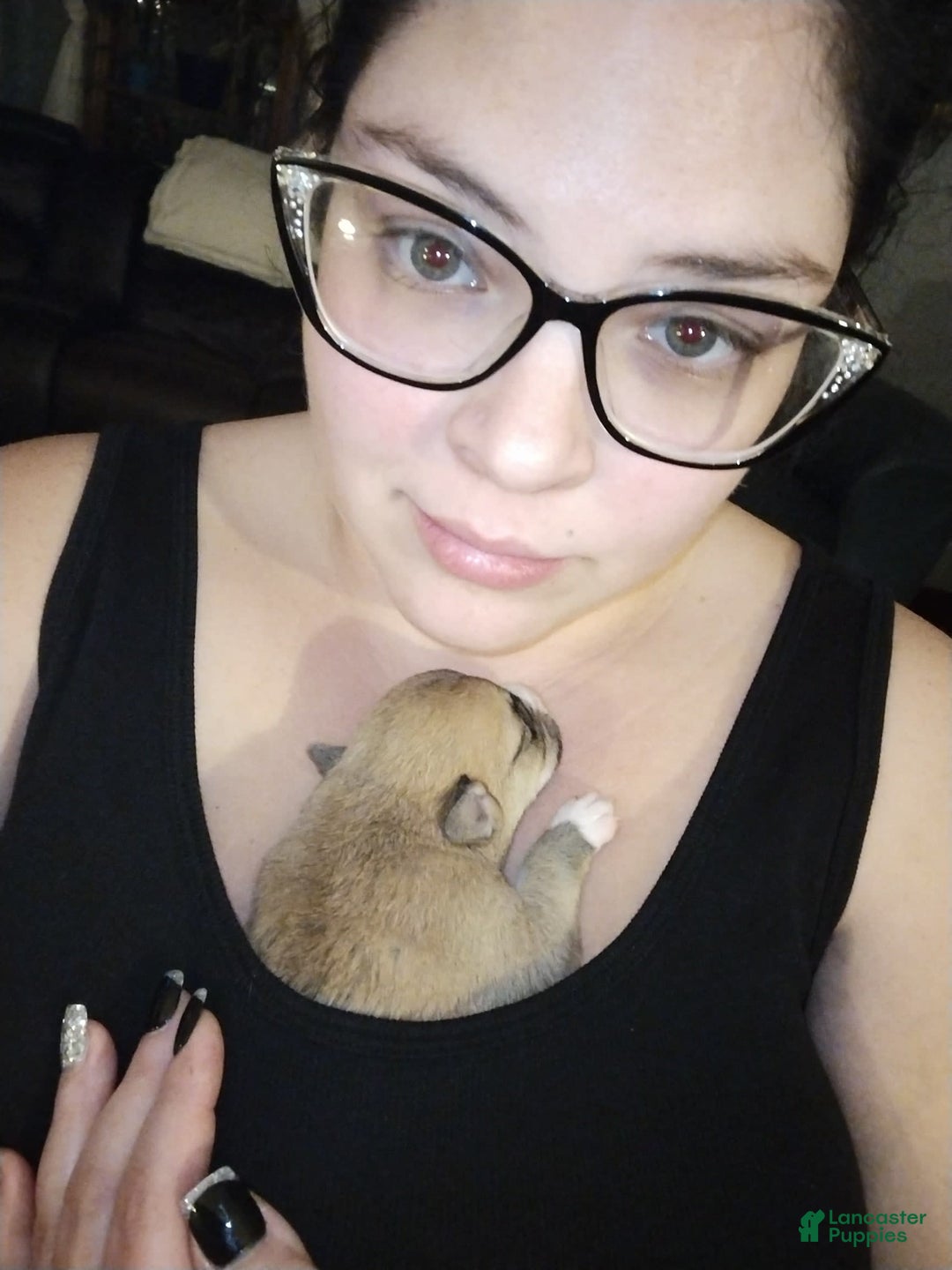 Gallery Image {{count}}