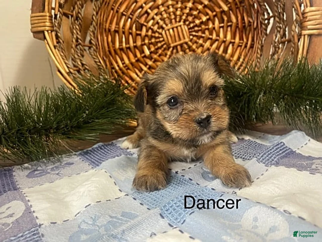 Gallery Image {{count}}