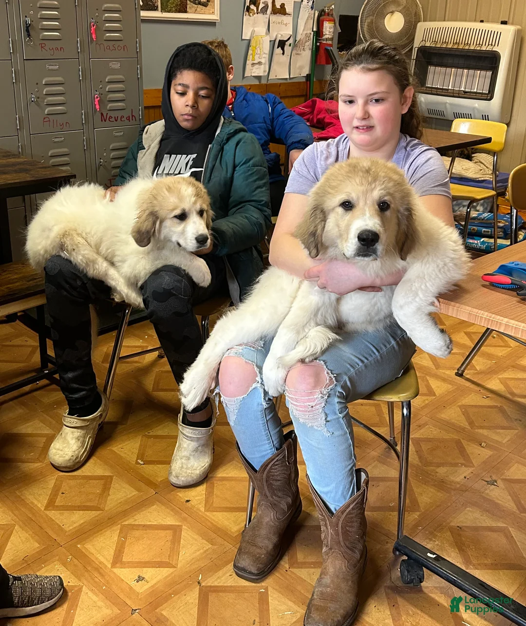 Gallery Image {{count}}