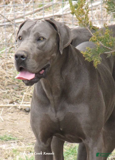 Gallery Image {{count}}