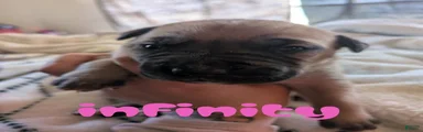 Infinity