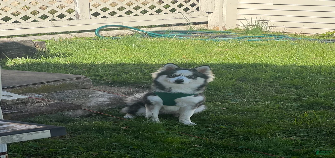 Gallery Image {{count}}