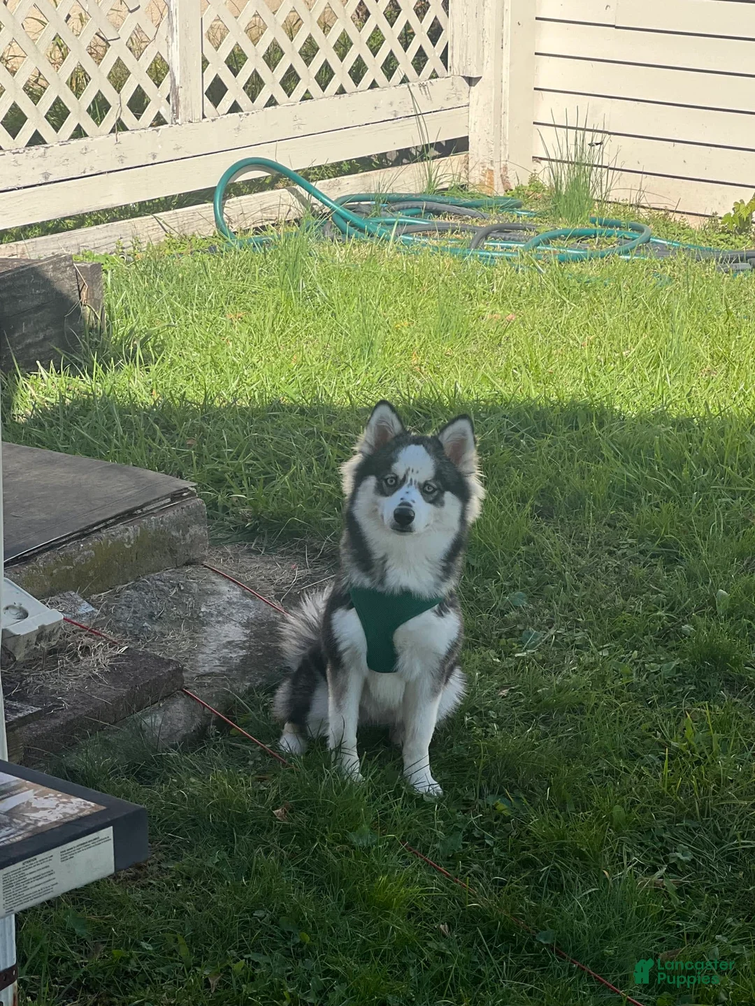 Gallery Image {{count}}