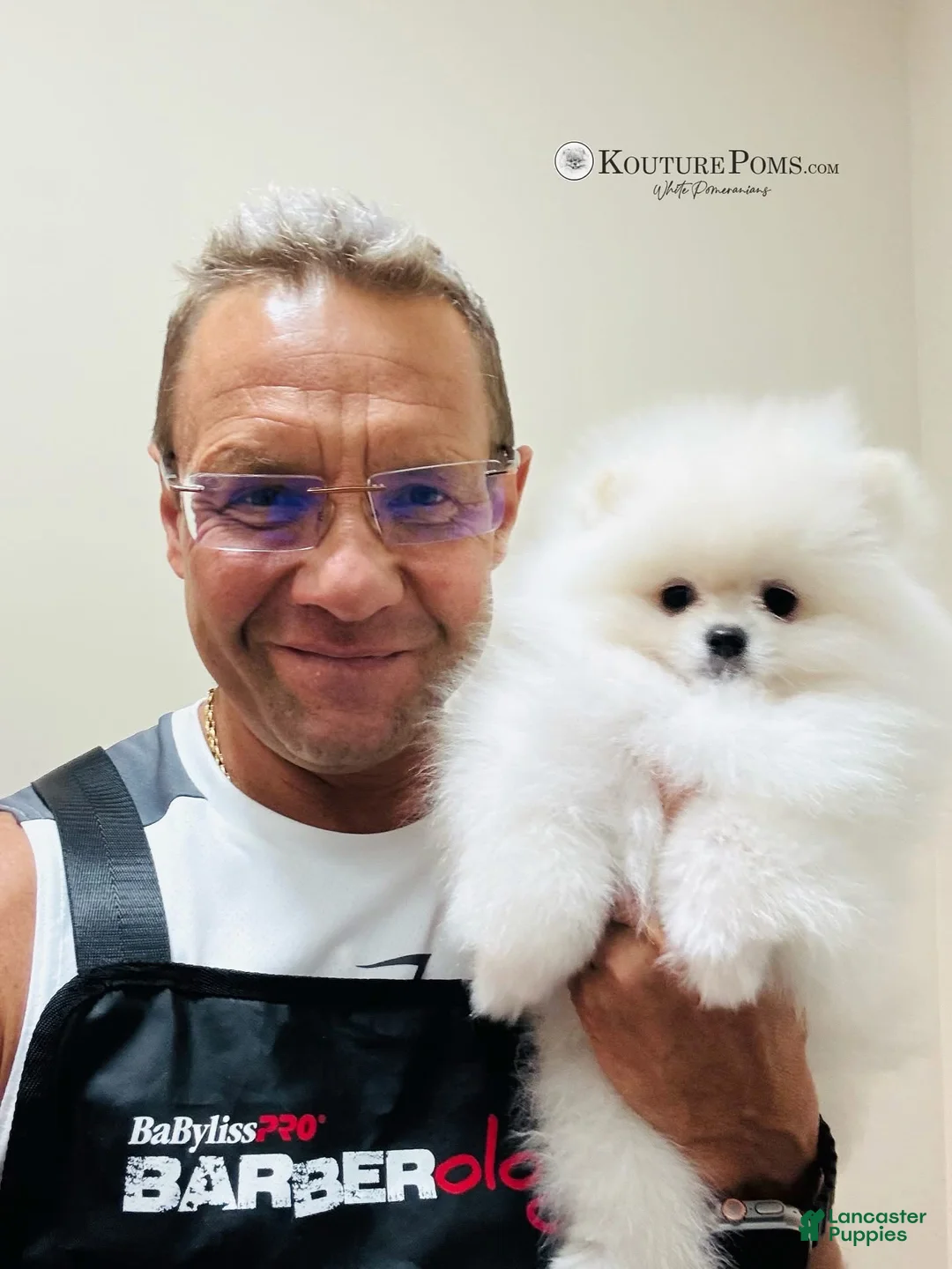 Pomeranian dogs for sale: Givenchy - Ad 2