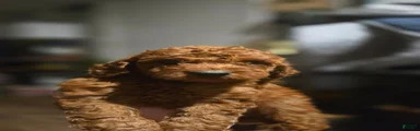 Mini Goldendoodle 2