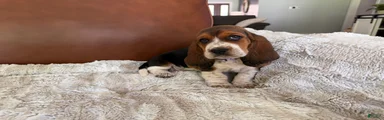 Peggy