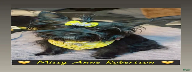 Missy Anne Robertson