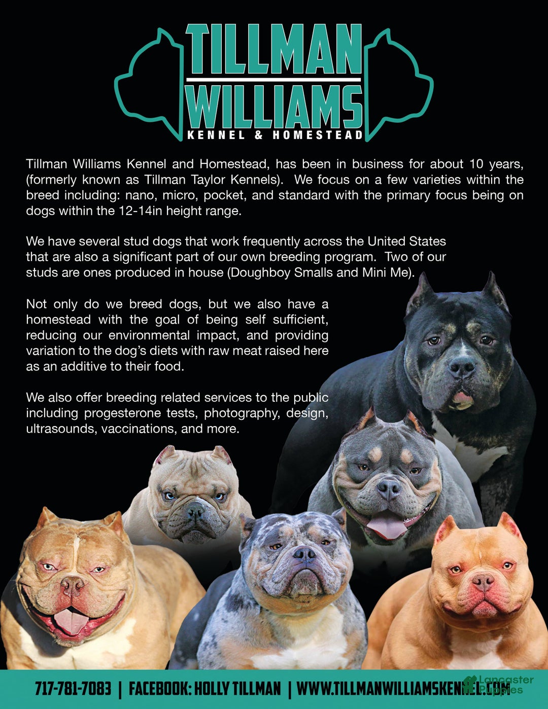 Gallery Image {{count}}