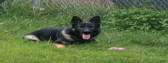 Garmr