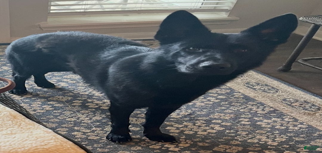 Gallery Image {{count}}