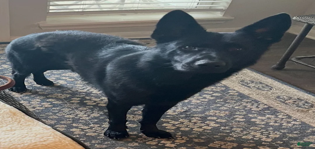 Gallery Image {{count}}