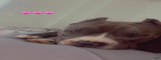 C.B