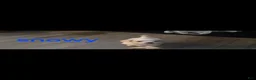 Yorkshire Terrier dogs for sale: Yorkshire Terrier 3 - Ad 1