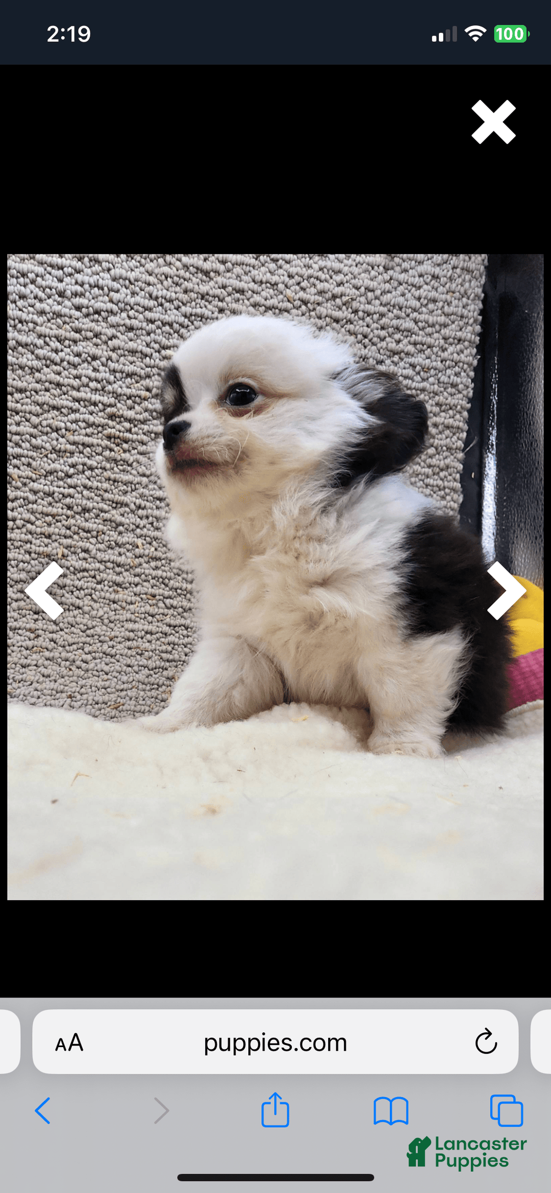 Gallery Image {{count}}