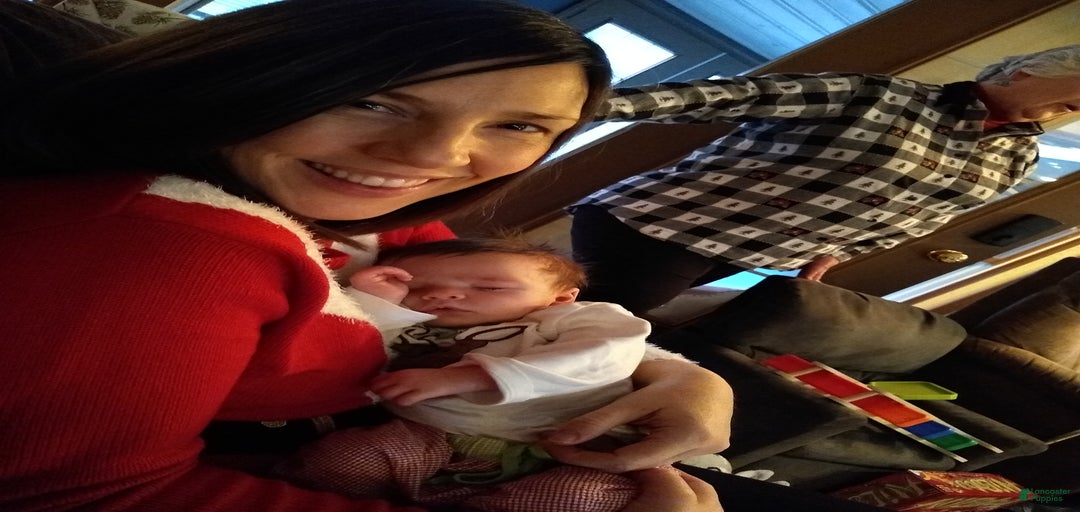 Gallery Image {{count}}