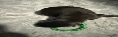 Green Collar