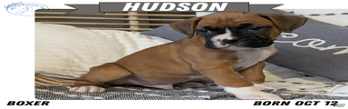 Hudson