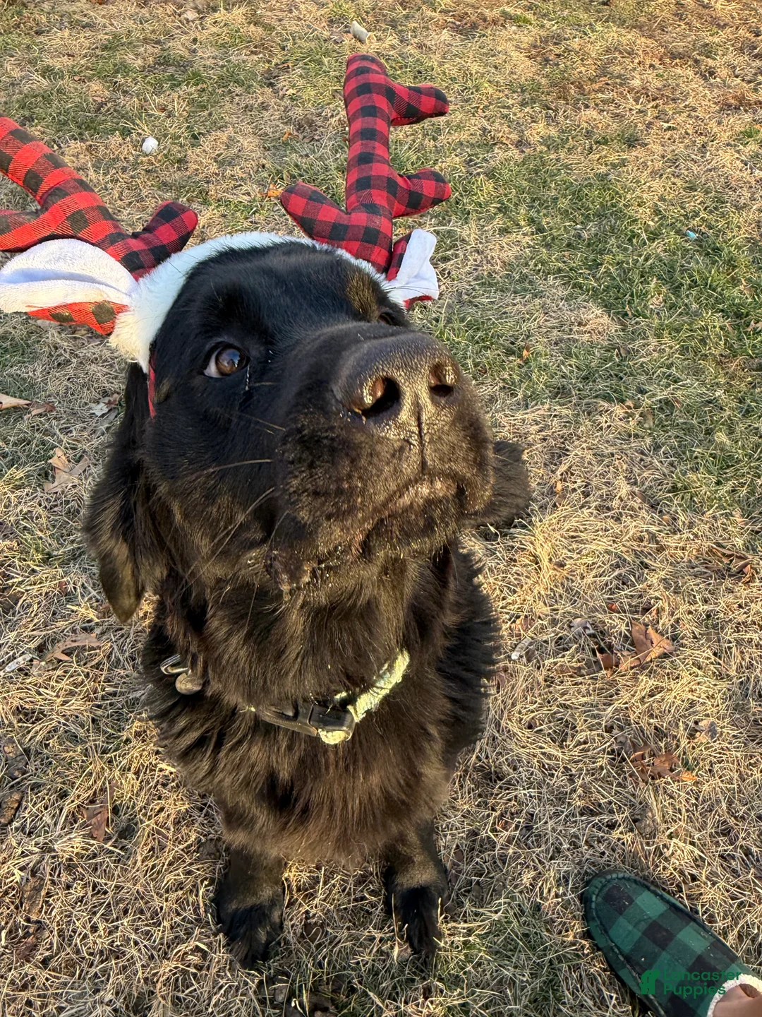 Gallery Image {{count}}