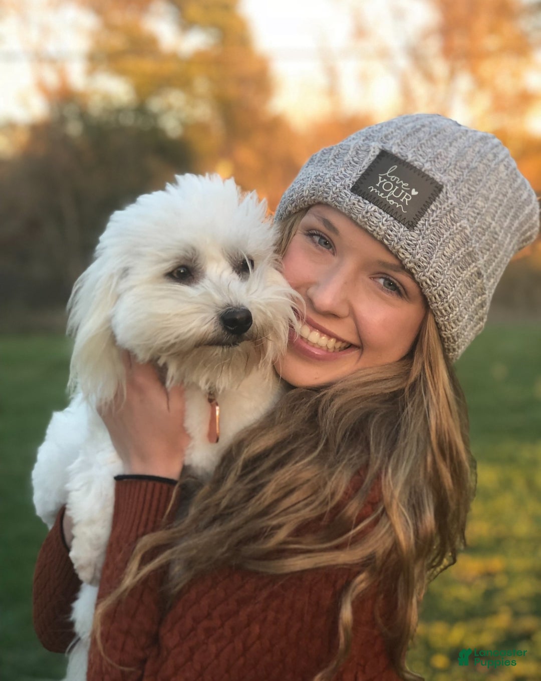 Coton De Tulear dogs for sale: Coton De Tulear Puppy 2 - Ad 5