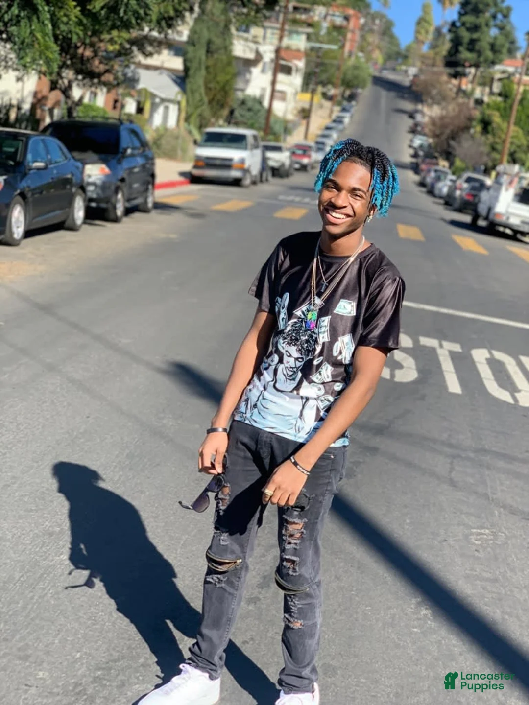 Gallery Image {{count}}