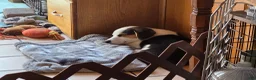 Welsh Corgi Pembroke dogs for sale: Bear - AKC/DNA Tested - Pembroke Welsh Corgi Puppy  - Ad 5
