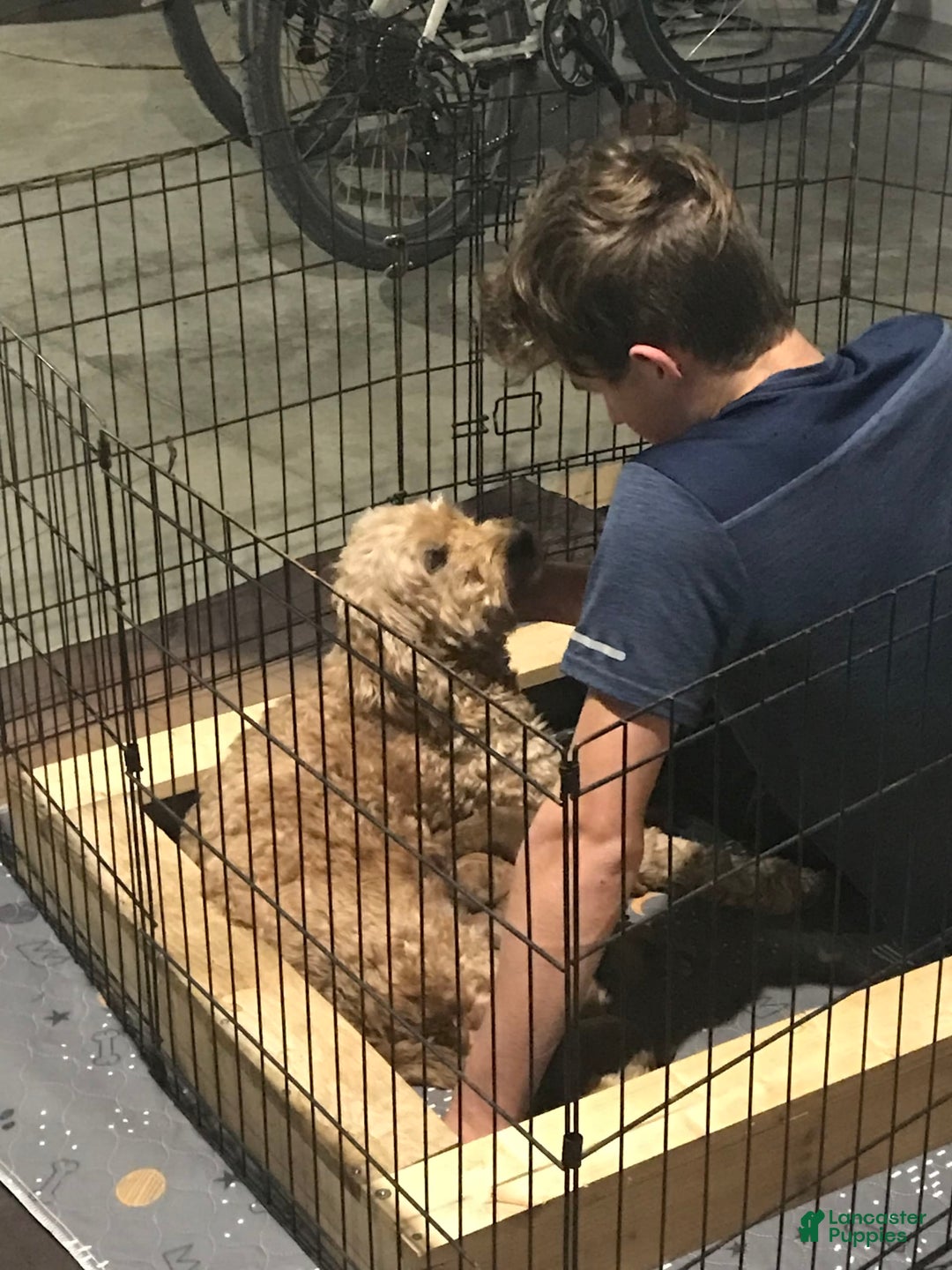 Gallery Image {{count}}