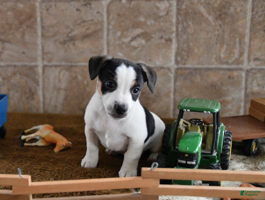 Gallery Image {{count}}