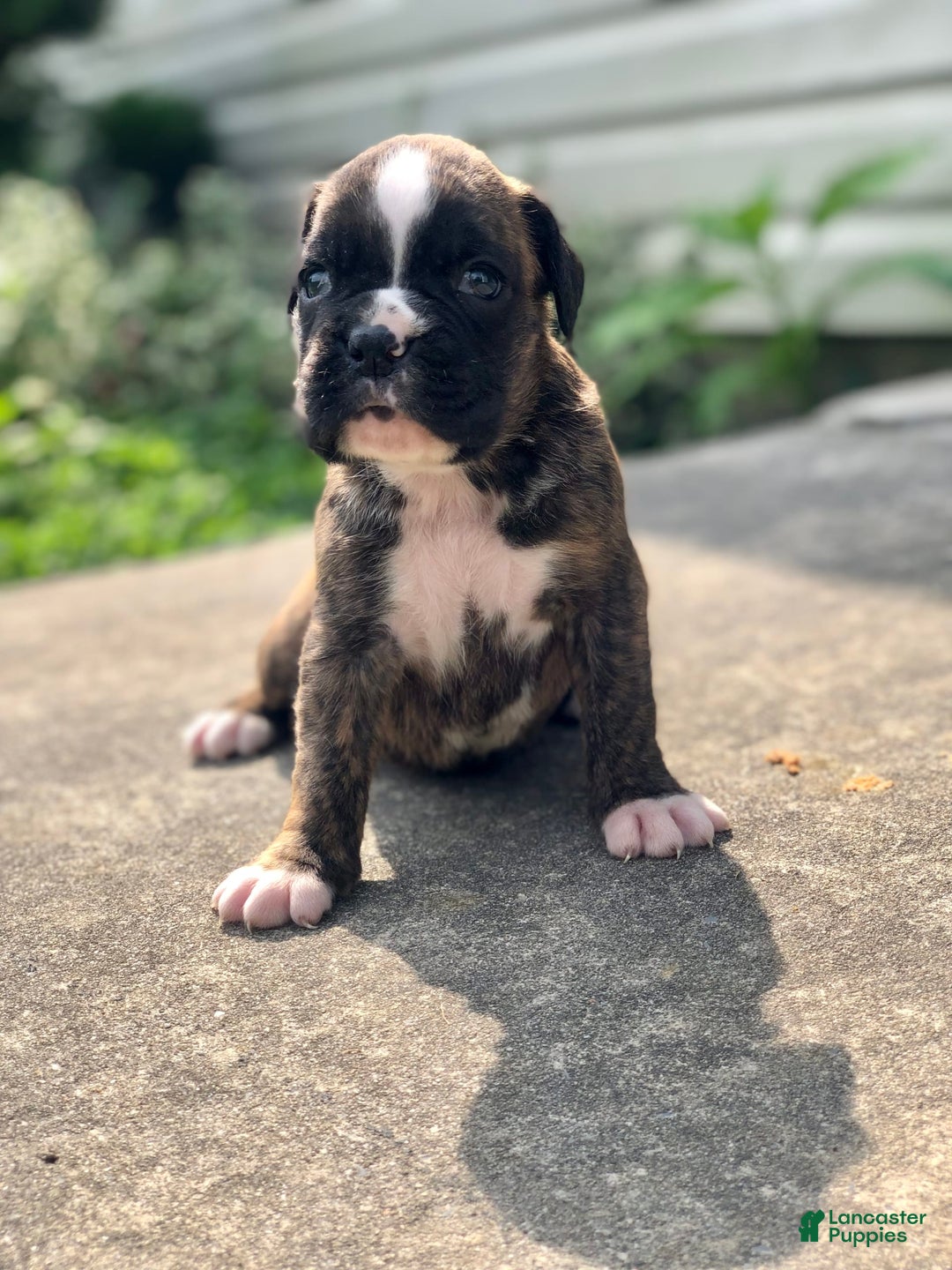 Gallery Image {{count}}