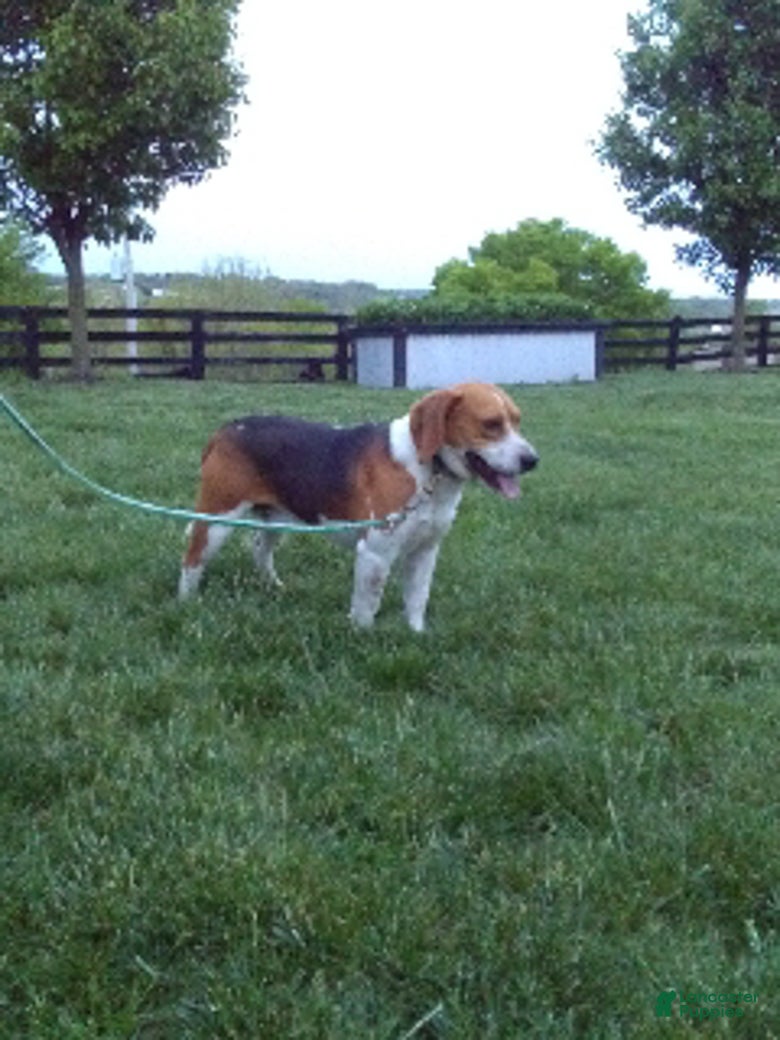 Charlie