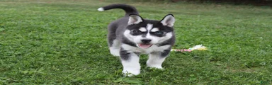 Alaska