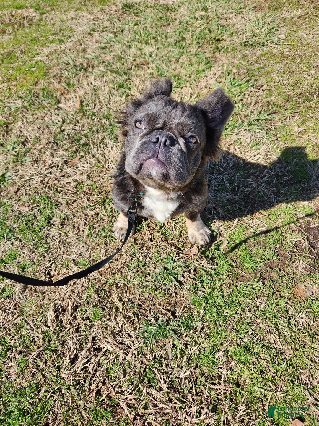 Gallery Image {{count}}