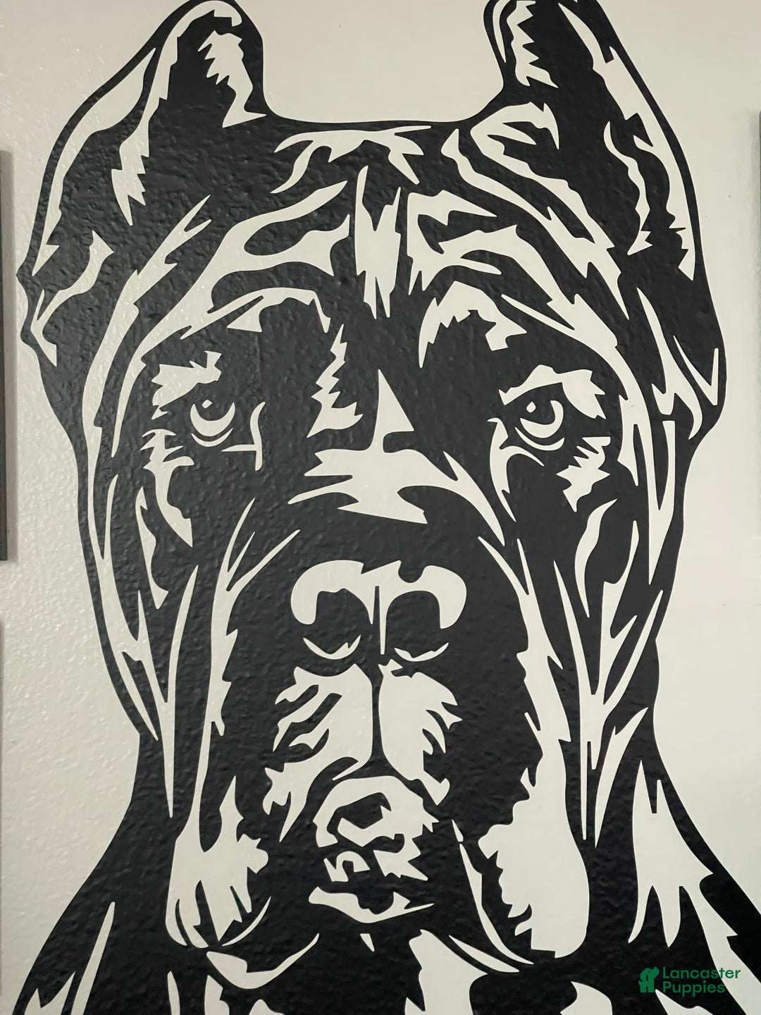 Gallery Image {{count}}