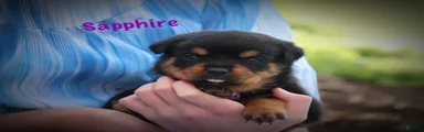 Sapphire 
