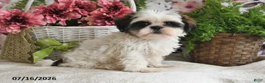 Sharla