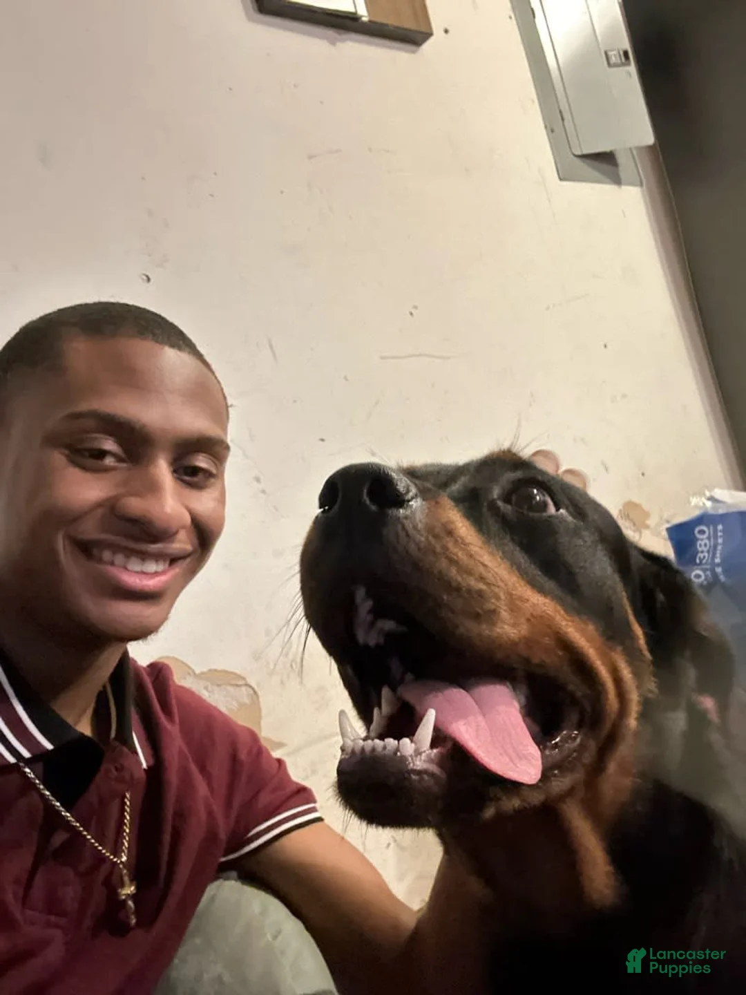 Gallery Image {{count}}