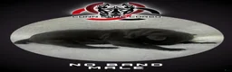 Cane Corso dogs for sale: Cane Corso Puppy 4 - Ad 1