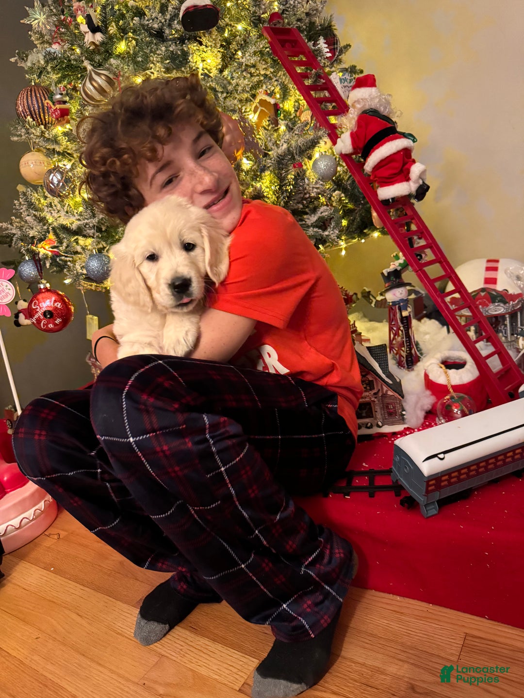 Gallery Image {{count}}