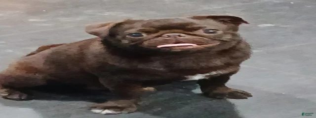 Sammy 