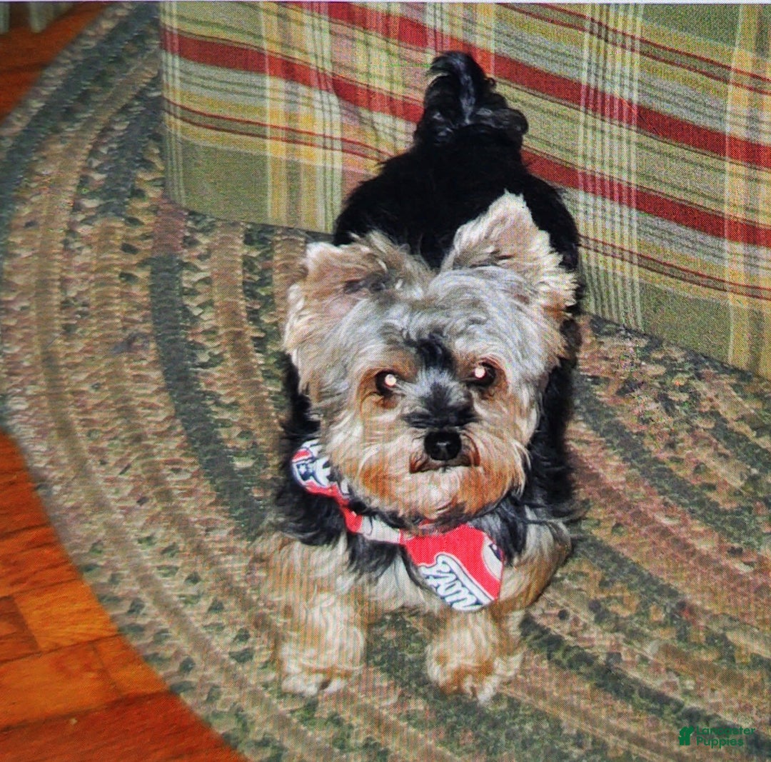 Gallery Image {{count}}