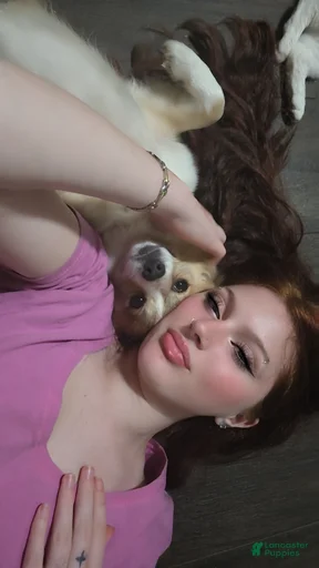 Gallery Image {{count}}