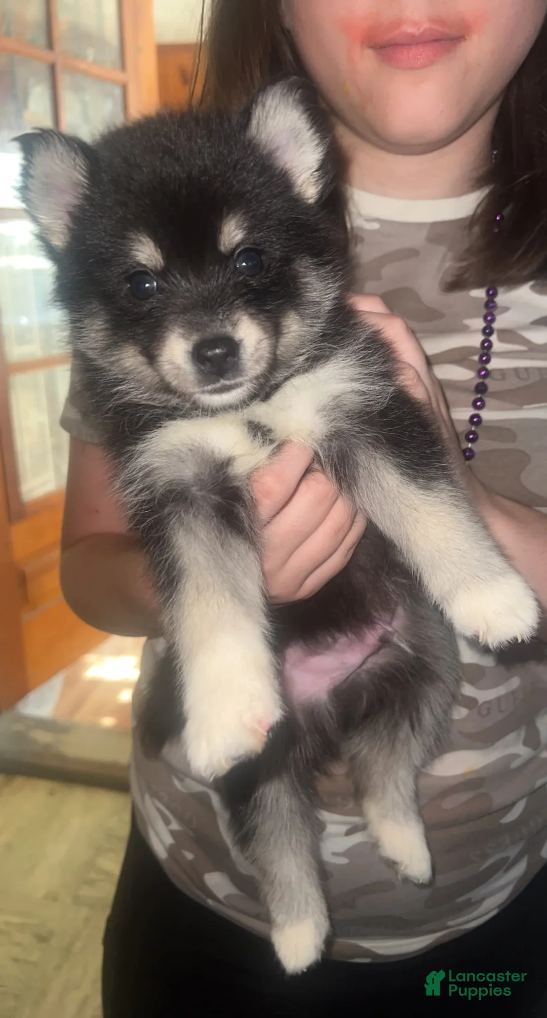 Gallery Image {{count}}