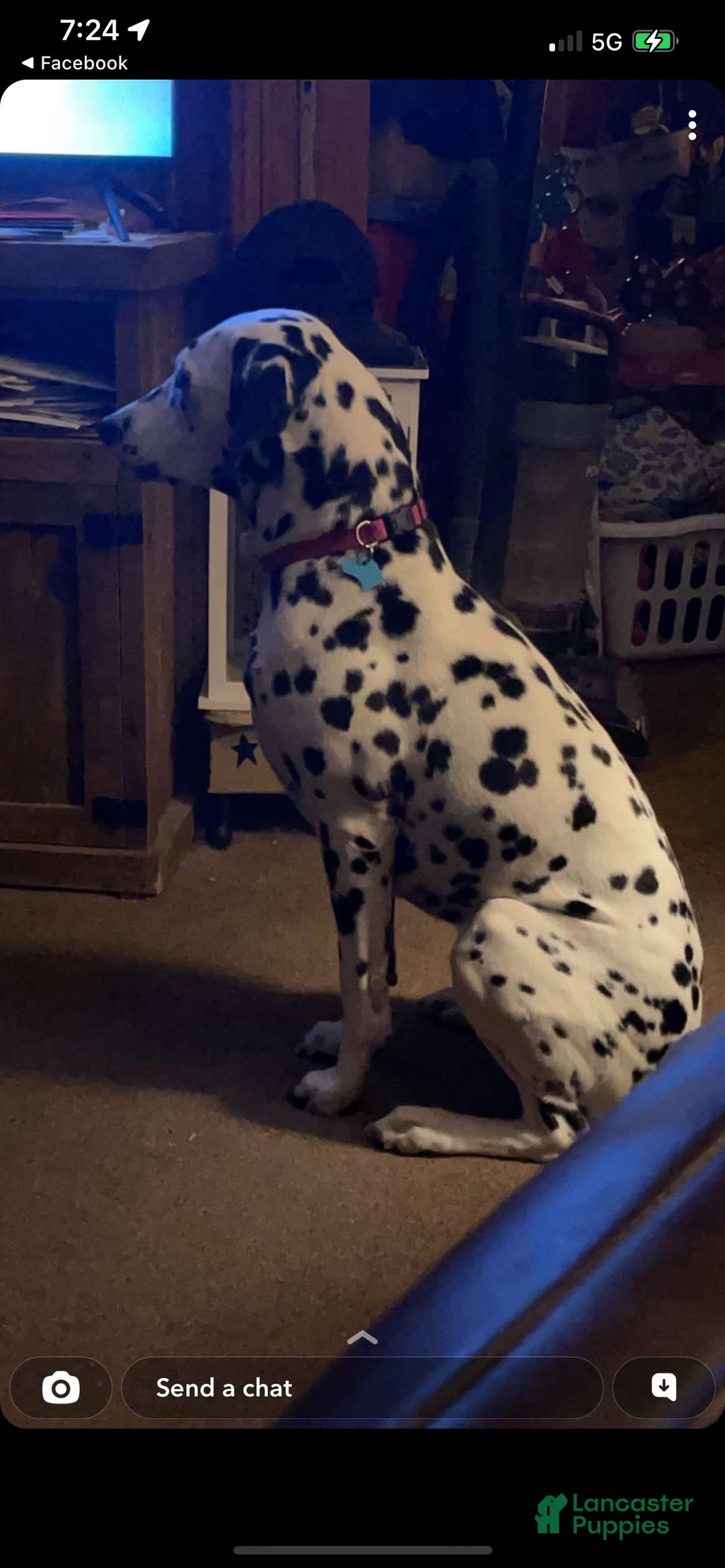 Gallery Image {{count}}