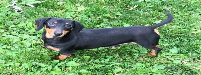Winnie